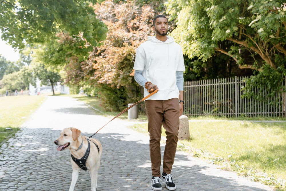 Choosing the Right Pet Care Service for Your Dog