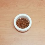 Understanding Pet Nutrition
